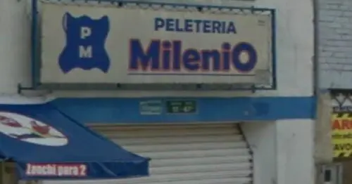 PELETERIA MILENIO BOGOTÁ PELETERIA MILENIO BOGOTÁ